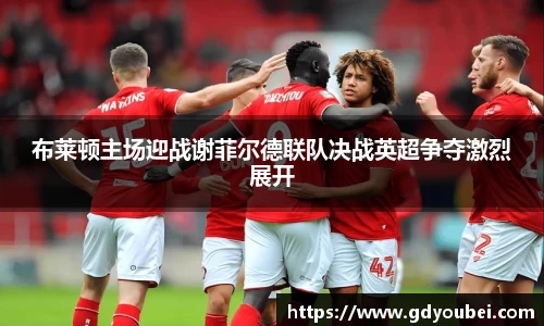 布莱顿主场迎战谢菲尔德联队决战英超争夺激烈展开